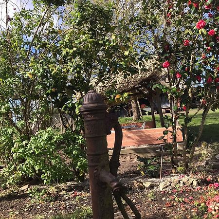 Villa Coco 9 Personnes Jardin Proche Beauval Lye المظهر الخارجي الصورة