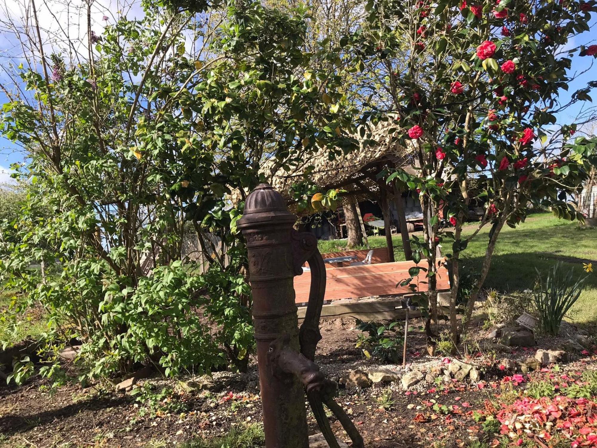 Villa Coco 9 Personnes Jardin Proche Beauval Lye المظهر الخارجي الصورة